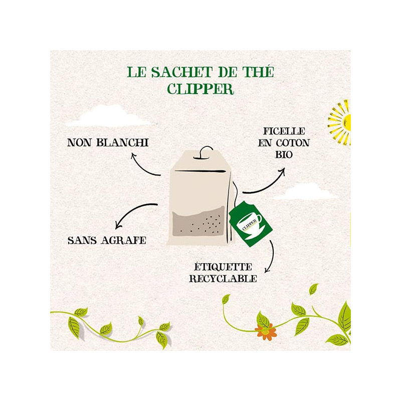 Gorgeous Thé vert bio Mangue - Clipper Teas