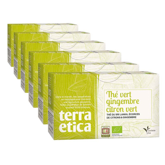 Thé Vert Bio Terra Ética Gingembre Citron Vert Sri Lanka - 6 boites - 120 sachets