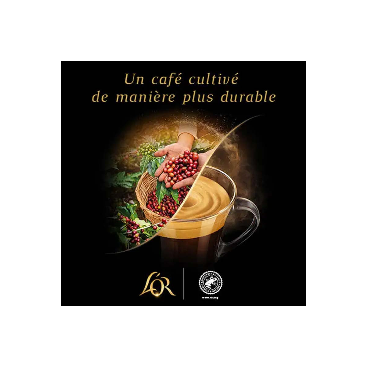 Café capsules splendente intensité compatibles Nespresso L'OR : la boite de  20 capsules à Prix Carrefour