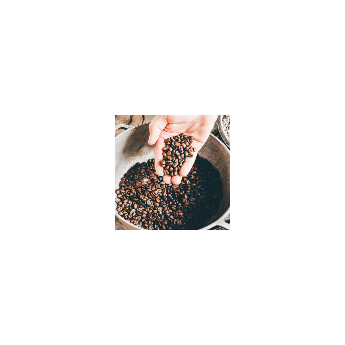 Sélection arabica en grains biologique et équitable 1kg - Café Michel