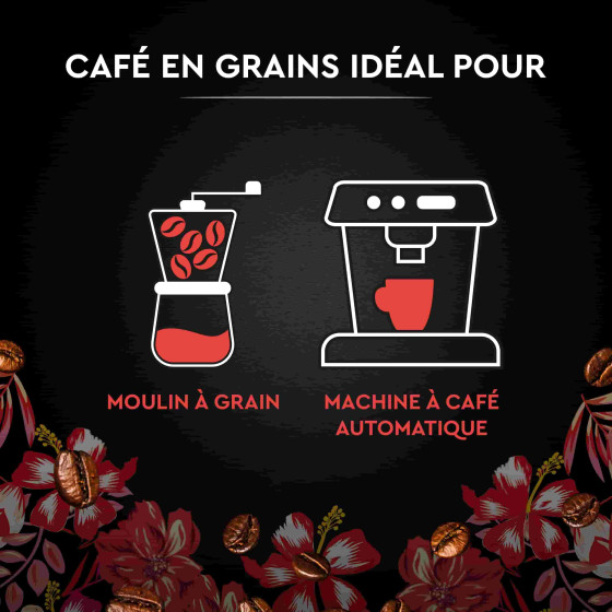 Café en Grains Bio Carte Noire Sélection Honduras - 500 gr