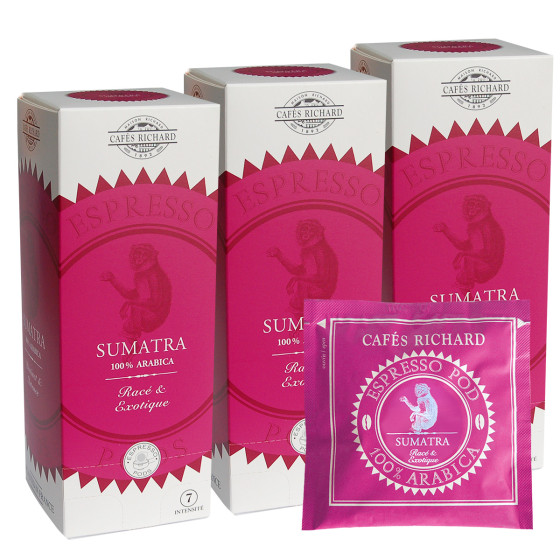 Dosette ESE Cafés Richard Sumatra 100% Arabica - 3 boites - 75 dosettes emballées individuellement