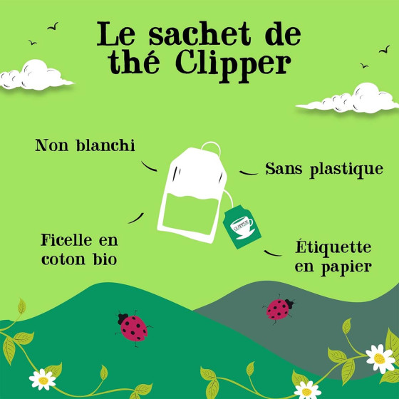 Thé Vert Bio Clipper Fraise - 20 sachets