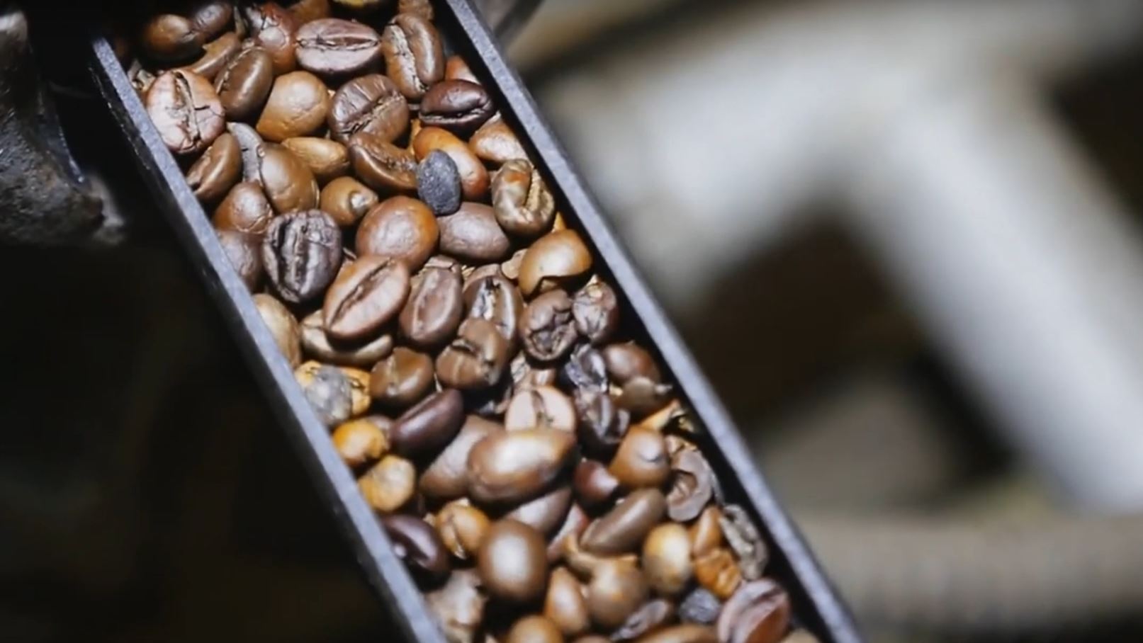 Méo Café en grains espresso - Le sachet de 1kg : : Epicerie