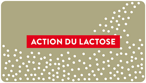 action du lactose