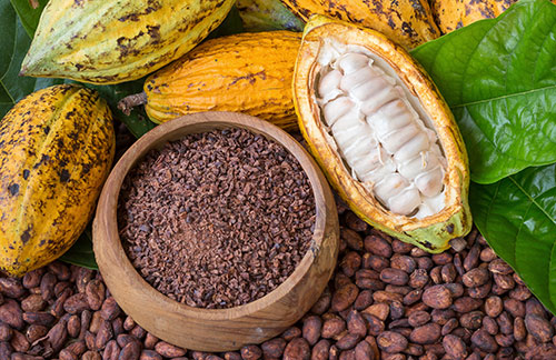 cabosse cacaotier ouverte avec fèves de cacao