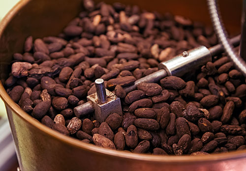 torrefaction fèves de cacao
