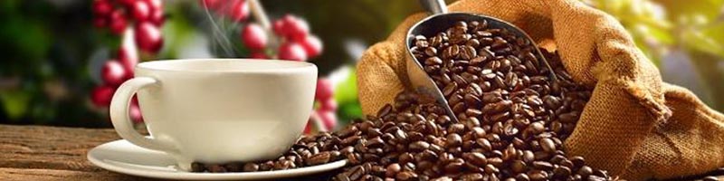 Café en Grain Jamaïque 100 % Arabica - Torréfaction Artisanale