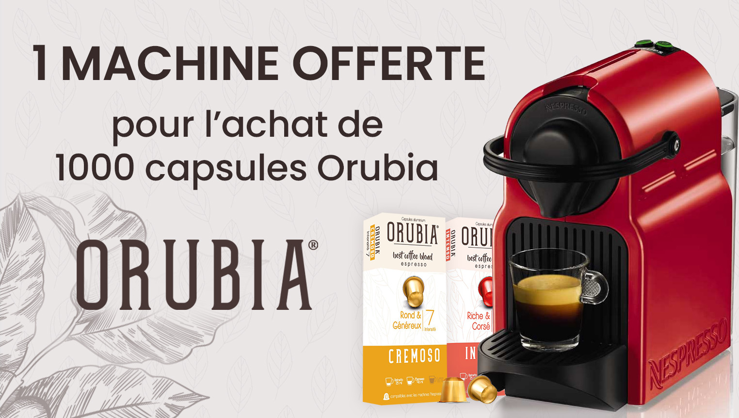 Lot 1000 Capsules Nespresso Orubia + Machine Krups Inissia OFFERTE