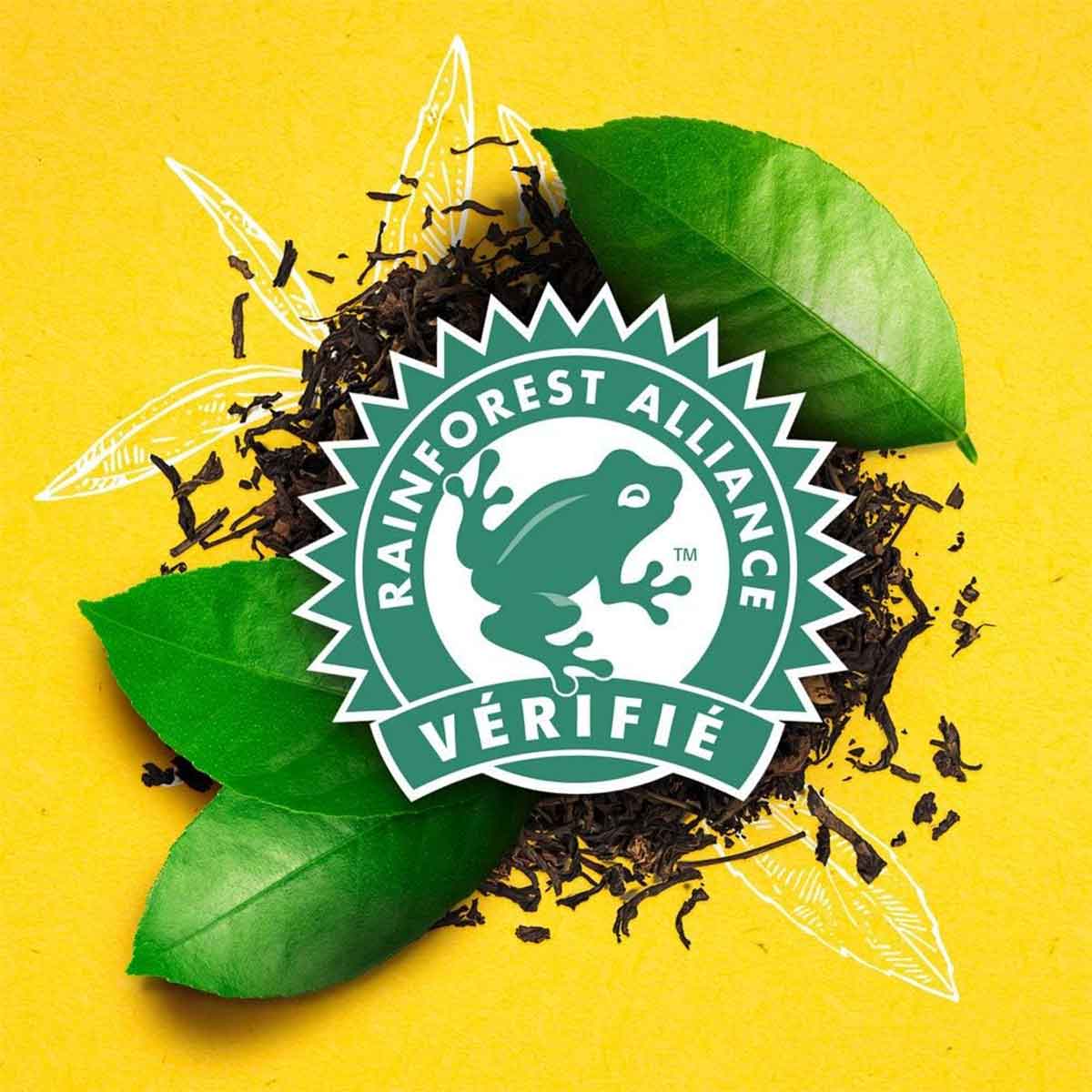 label rainforest alliance