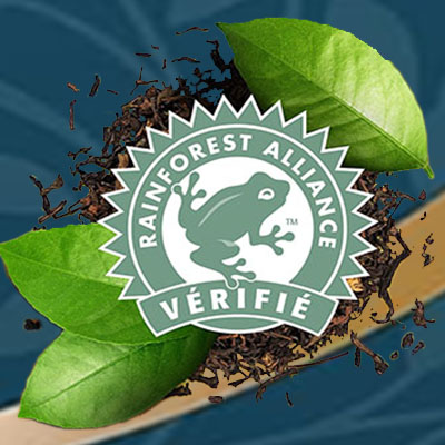 logo rainforest alliance